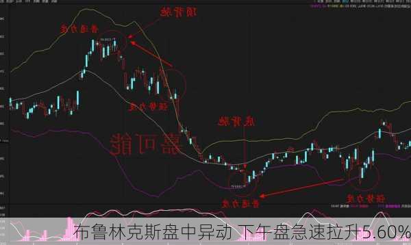 布鲁林克斯盘中异动 下午盘急速拉升5.60%