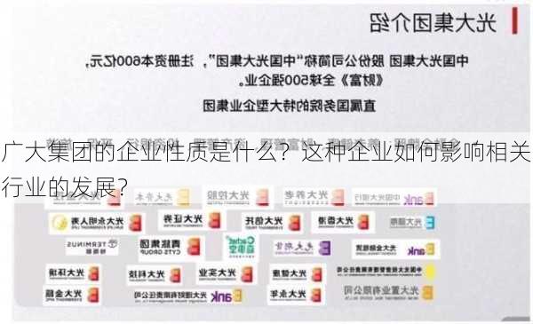 广大集团的企业性质是什么？这种企业如何影响相关行业的发展？