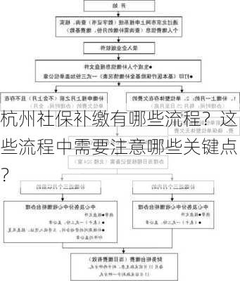 杭州社保补缴有哪些流程？这些流程中需要注意哪些关键点？