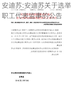 安迪苏:安迪苏关于选举职工代表监事的公告