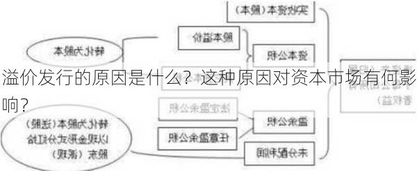 溢价发行的原因是什么？这种原因对资本市场有何影响？