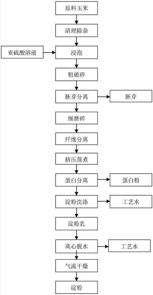 如何从玉米中提取淀粉？这种提取过程有哪些技术要点？