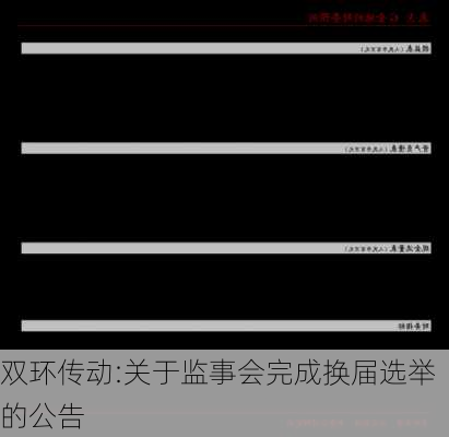 双环传动:关于监事会完成换届选举的公告