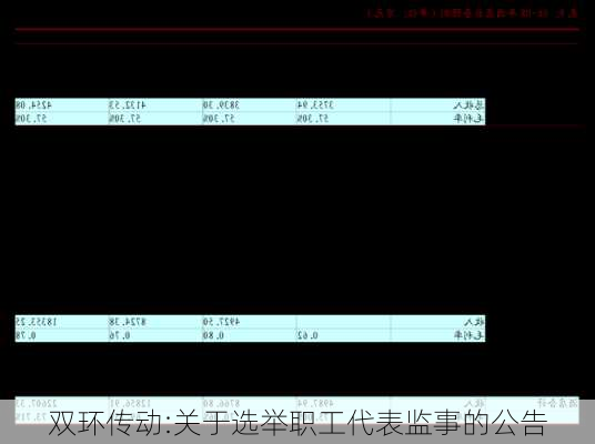 双环传动:关于选举职工代表监事的公告