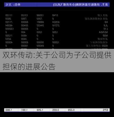 双环传动:关于公司为子公司提供担保的进展公告