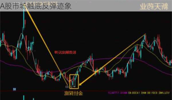 A股市场触底反弹迹象