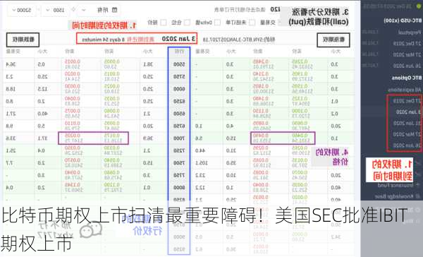 比特币期权上市扫清最重要障碍！美国SEC批准IBIT期权上市