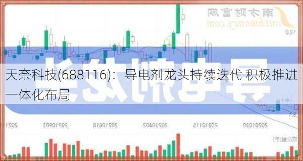 天奈科技(688116)：导电剂龙头持续迭代 积极推进一体化布局