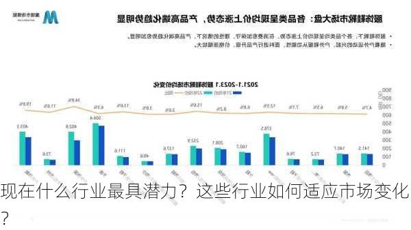 现在什么行业最具潜力？这些行业如何适应市场变化？