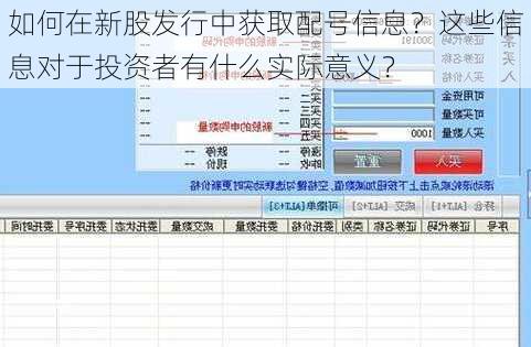 如何在新股发行中获取配号信息？这些信息对于投资者有什么实际意义？