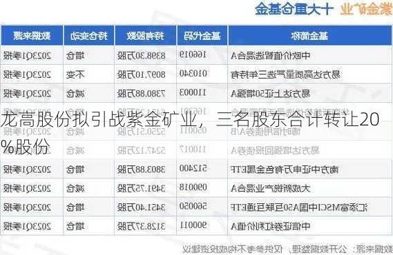 龙高股份拟引战紫金矿业，三名股东合计转让20%股份