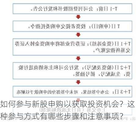 如何参与新股申购以获取投资机会？这种参与方式有哪些步骤和注意事项？