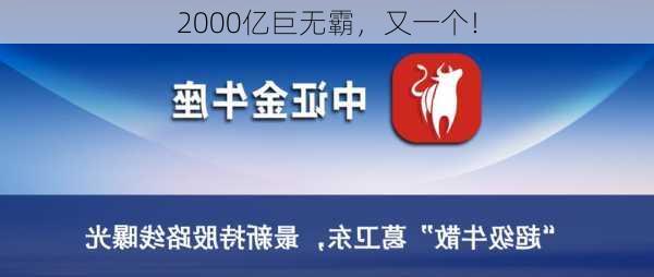 2000亿巨无霸，又一个！