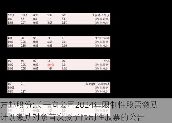 方邦股份:关于向公司2024年限制性股票激励计划激励对象首次授予限制性股票的公告