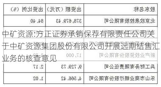 中矿资源:方正证券承销保荐有限责任公司关于中矿资源集团股份有限公司开展远期结售汇业务的核查意见