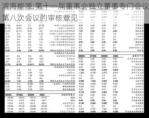 滨海能源:第十一届董事会独立董事专门会议第八次会议的审核意见