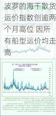 波罗的海干散货运价指数创逾两个月高位 因所有船型运价均走高