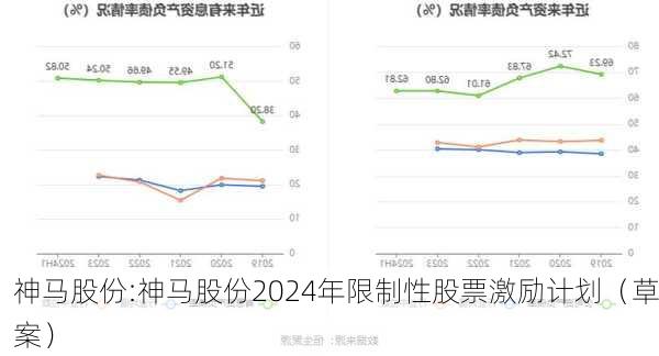 神马股份:神马股份2024年限制性股票激励计划（草案）