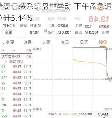 瑞奇包装系统盘中异动 下午盘急速拉升5.44%