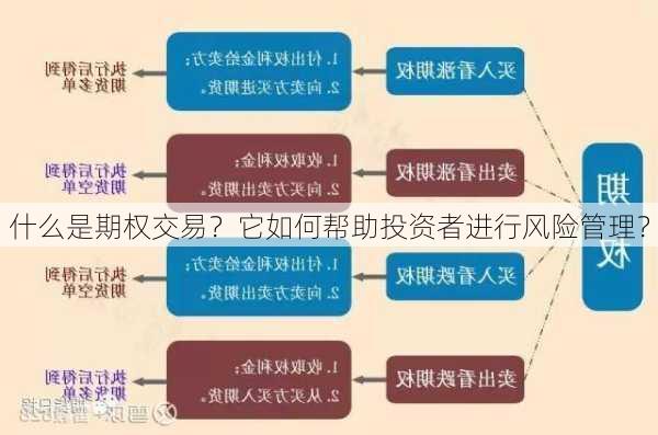 什么是期权交易？它如何帮助投资者进行风险管理？