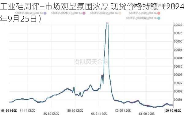 工业硅周评—市场观望氛围浓厚 现货价格持稳（2024年9月25日）