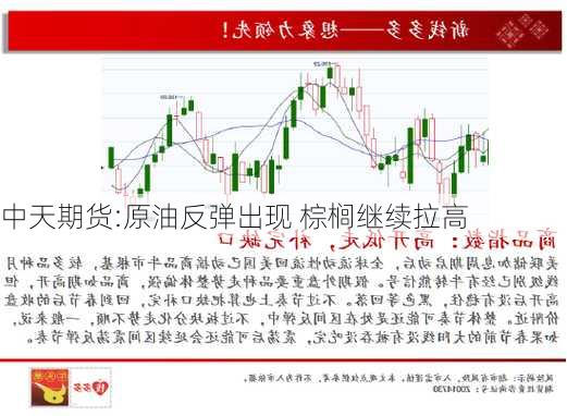 中天期货:原油反弹出现 棕榈继续拉高