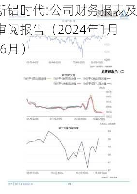 新铝时代:公司财务报表及审阅报告（2024年1月-6月）