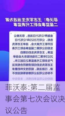 菲沃泰:第二届监事会第七次会议决议公告