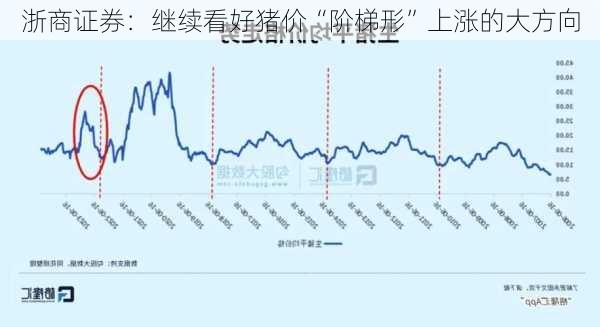 浙商证券：继续看好猪价“阶梯形”上涨的大方向