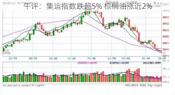 午评：集运指数跌超5% 棕榈油涨近2%