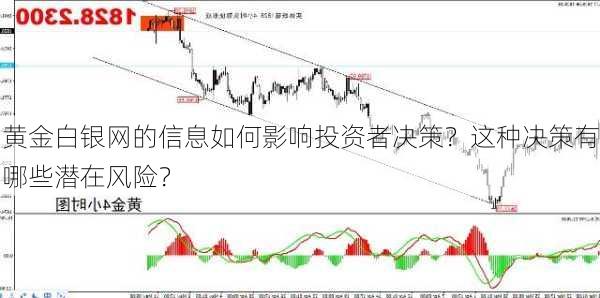 黄金白银网的信息如何影响投资者决策？这种决策有哪些潜在风险？