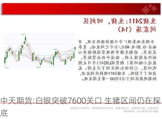 中天期货:白银突破7600关口 生猪区间仍在探底