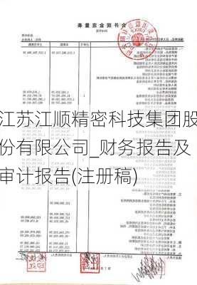 江苏江顺精密科技集团股份有限公司_财务报告及审计报告(注册稿)