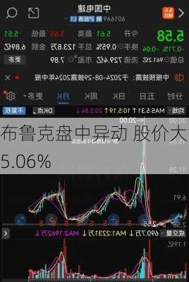 布鲁克盘中异动 股价大涨5.06%