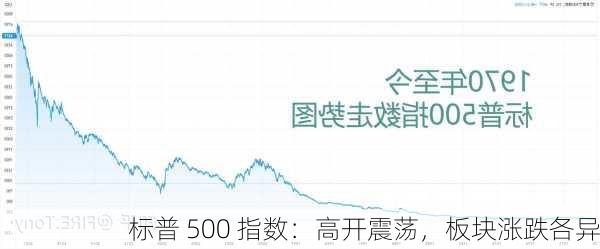 标普 500 指数：高开震荡，板块涨跌各异