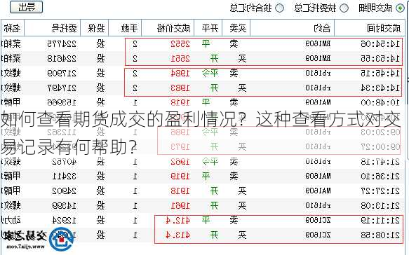 如何查看期货成交的盈利情况？这种查看方式对交易记录有何帮助？