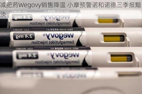 减肥药Wegovy销售降温 小摩预警诺和诺德三季报黯淡