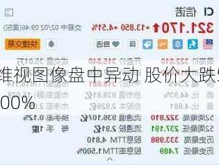 维视图像盘中异动 股价大跌5.00%