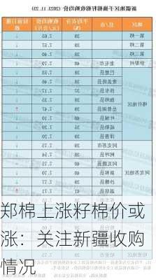 郑棉上涨籽棉价或涨：关注新疆收购情况