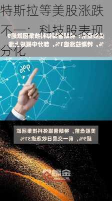 特斯拉等美股涨跌不一：科技股表现分化