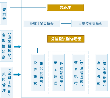 决策金是什么？这种决策金如何影响投资决策？