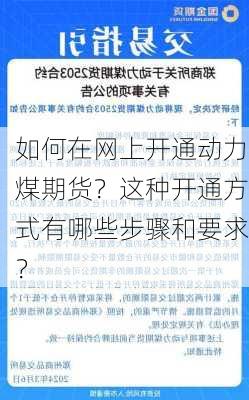 如何在网上开通动力煤期货？这种开通方式有哪些步骤和要求？