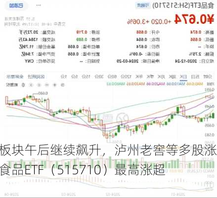 吃喝板块午后继续飙升，泸州老窖等多股涨停！食品ETF（515710）最高涨超9%！