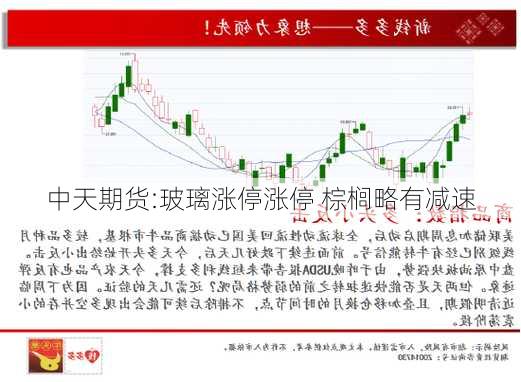 中天期货:玻璃涨停涨停 棕榈略有减速