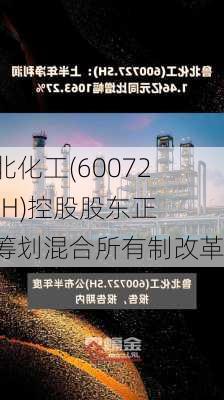 鲁北化工(600727.SH)控股股东正在筹划混合所有制改革