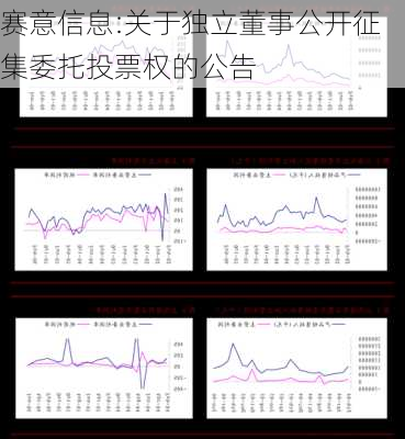 赛意信息:关于独立董事公开征集委托投票权的公告