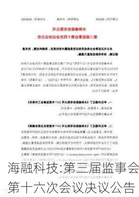 海融科技:第三届监事会第十六次会议决议公告