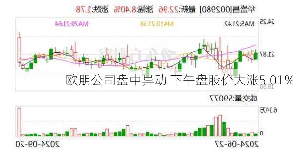 欧朋公司盘中异动 下午盘股价大涨5.01%