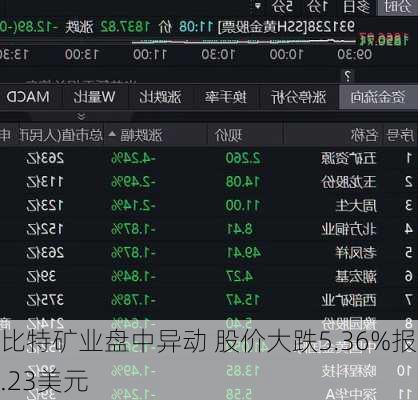 比特矿业盘中异动 股价大跌5.36%报2.23美元