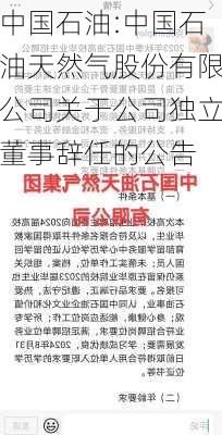 中国石油:中国石油天然气股份有限公司关于公司独立董事辞任的公告